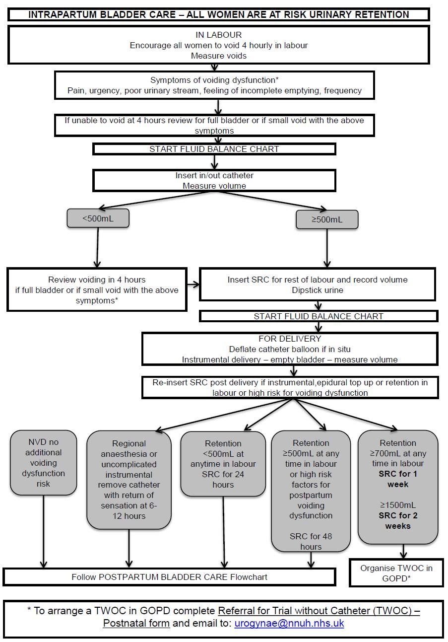 FLOW CHART 1: INTRAPARTUM BLADDER CARE Available via