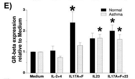 GR-beta up-regulation and steroid resistance induction by IL-17 and IL-23