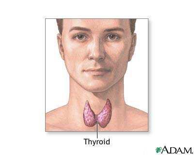Micronutrients and the thyroid Multiple nutritional and environmental influences contribute to the prevalence and severity of thyroid disorders
