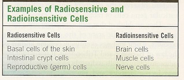 Cellular Effects of Irradiation Radiosensitive Cells Instant death (1000 Gy) Reproductive death (1-10 Gy) Apoptosis, or programmed cell death (interphase death) Mitotic, or genetic, death Mitotic