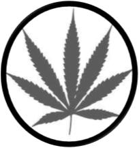 Cannabis or Cannabinoids: The Politics of Medical Marijuana Douglas