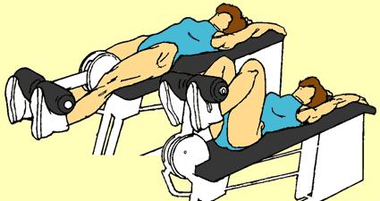 Can also be done by hooking feet to straps of low wall pulley. 4) Seated Barbell Twist Obliques Place light barbell on shoulders. Sit at end of bench, feet firmly on floor.