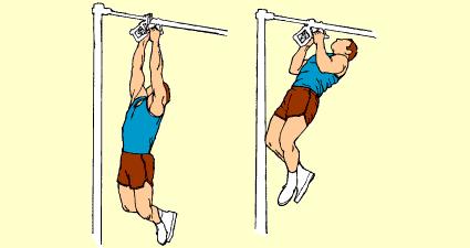 Concentrate on deltoids as you lower weight. Can also be done with wide grip. 11) Close Grip V Bar Chin Lower Lats Place V bar attachment on chinning bar.
