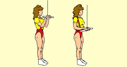 5) Standing Close Grip Triceps Press Down on Lat Machine Outer Triceps Stand erect, head up, feet 16" apart, in front of machine.