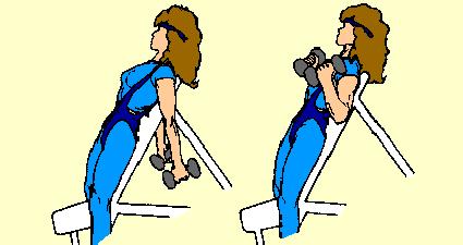 Press bar overhead to arms' length. Lower bar in semicircular motion behind head until forearms touch biceps. Keep upper arms close to head. Can also be done seated on incline bench.
