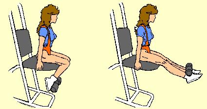 Have seat against back of knees. Hold seat behind buttocks. Point toes slightly down. Raise weight up until legs are parallel to floor.