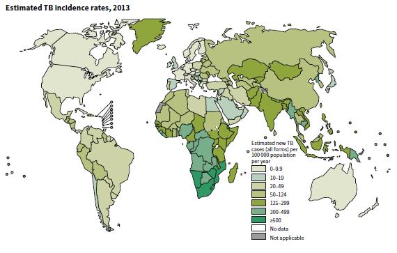 Half of the world s 20 high burden TB