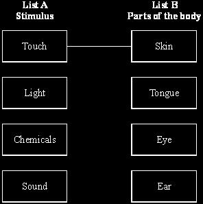 (a) List A gives the names of four stimuli. List B gives four parts of the human body.