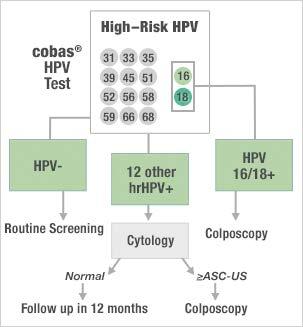 PapHPV Co-testing