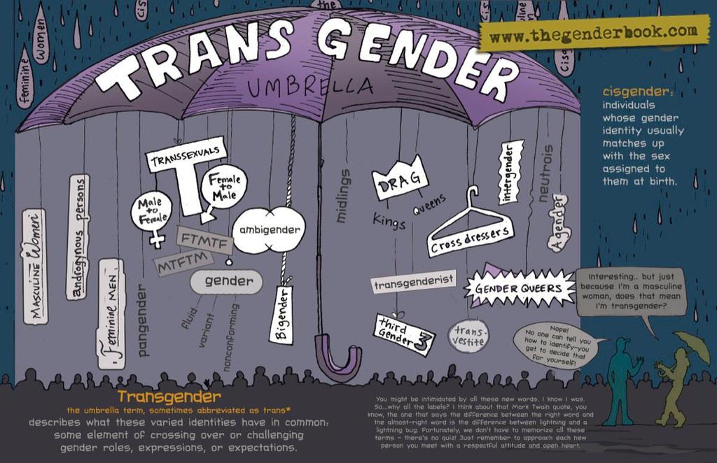 Transgender umbrella page from the GENDER book. (cc) www.