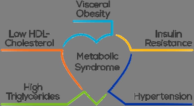 Metabolic Syndrome (MS) Metabolic Syndrome (MS) Large waistline