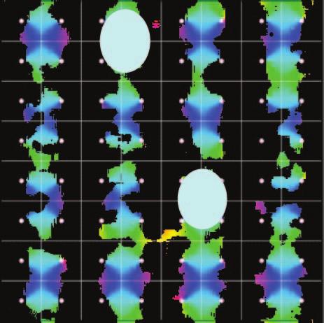 Spatially separated isoorientation regions tend to become activated simultaneously and persist for approximately 8 ms before switching to neighboring orientations, in agreement with experimental