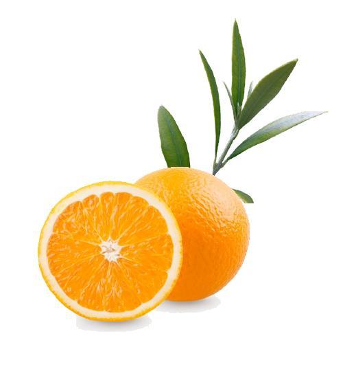 its components Patented blend citrus and olive leaf extract Extract form