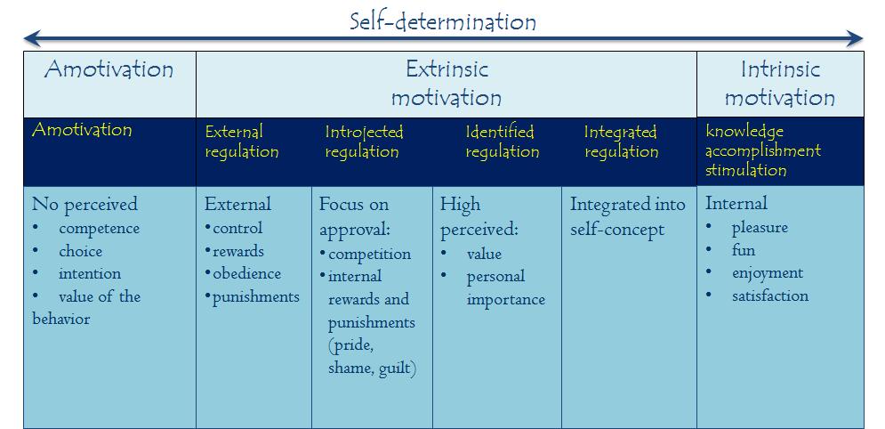 B.2.3 Discuss the issues associated with the use of intrinsic & extrinsic motivators in sports & exercise. How do extrinsic rewards influence intrinsic motivation?