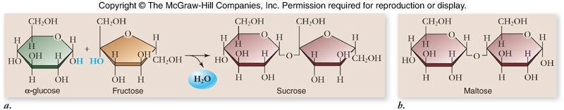 Disaccharides Carbohydrates -2 monosaccharides linked together by dehydration synthesis -used