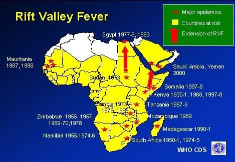 close antigenic relation with the 1998 virus in Kenyan and African Horn.