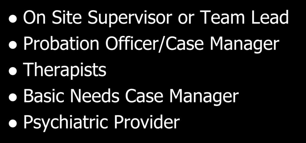 Who is on the team On Site Supervisor or Team Lead Probation