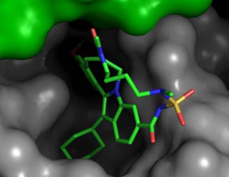 TMC647055 a potent novel HCV nonnon-nucleoside NS5B