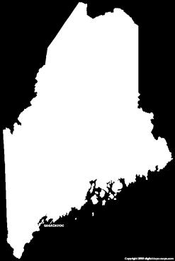 Number of Deaths in Maine for Leading Causes Final Data for 2007* Cancer: 3,112 Heart Disease: 2,852 Chronic lower respiratory diseases: 728 Stroke (cerebrovascular diseases): 664 Accidents