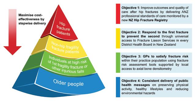 3.4 Implementation of Fracture Liaison Services in New Zealand During 2012, the Australian and New Zealand Hip Fracture Registry Steering Group conducted a facilities level audit of all hospitals