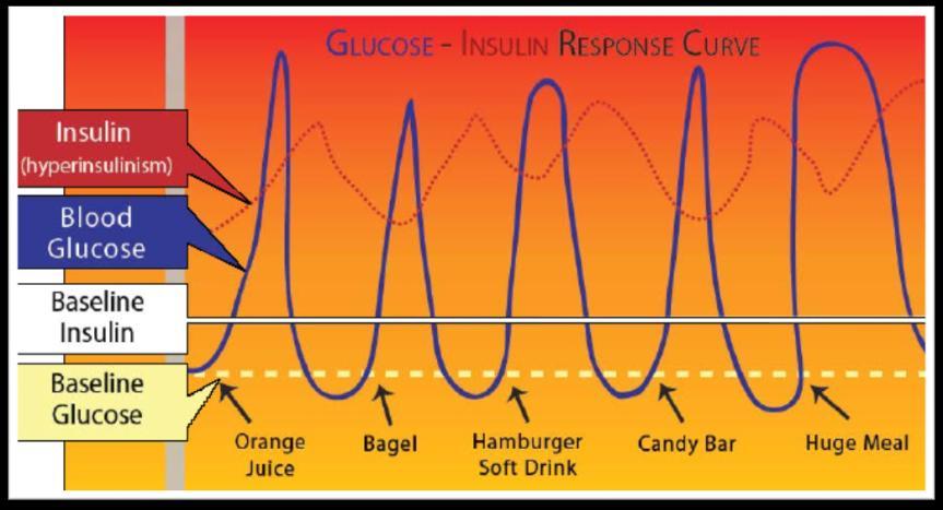 Glucose Insulin Response Curve
