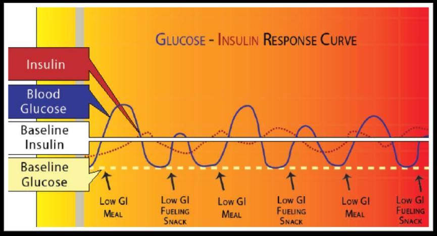 Low Glycemic Index Glucose Insulin Response