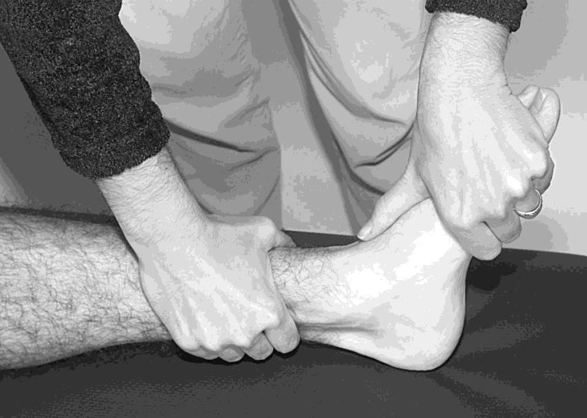 Lab Exercise Indirect Myofascial Release of the Ankle 1. Grasp the talocalcaneal area with one hand and grasp the distal leg with the other. 2.