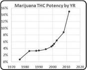 Pharmacology of Cannabis 100+