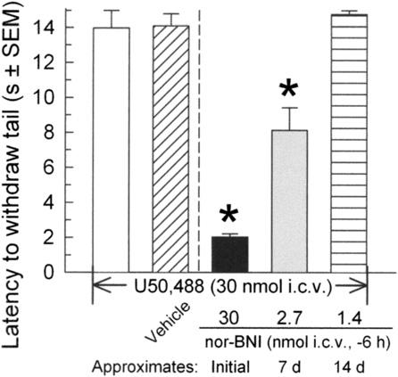 552 Patkar et al. Fig. 7. Dose-dependent KOR antagonist activity of nor-bni is consistent with concentrations of the antagonist detected in brain by LC-MS/MS.