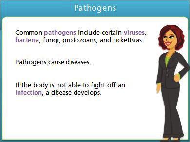 1.5 Pathogens Notes: Viruses, bacteria, fungi, protozoans, and rickettsia are all common