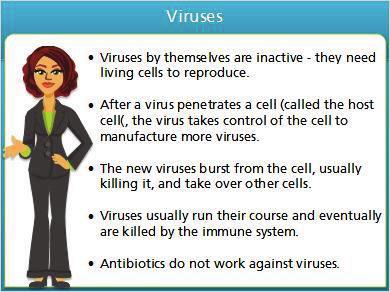 1.7 Viruses Notes: Viruses are one type of organism that can cause communicable diseases. Viruses need living cells to reproduce.