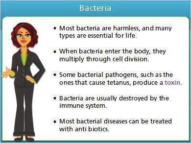 8 Bacteria Notes: Bacteria can cause disease as well. Most bacteria are harmless and are essential for life.