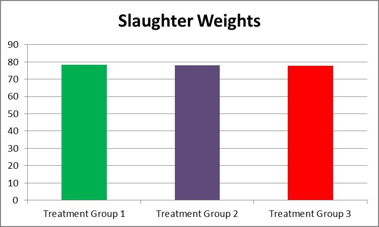 Slaughter Weights Weight Treatment Group 1 78.20833 Treatment Group 2 78.06092 Treatment Group 1 78.20833 Treatment Group 3 77.77898 Treatment Group 2 78.06092 Treatment Group 3 77.