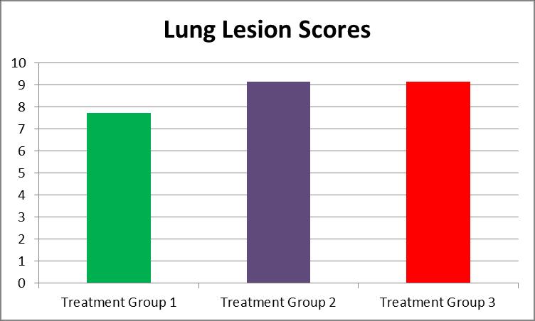 Lung Lesion Scores Lung score Treatment Group 1 7.742424 Treatment Group 2 9.148649 Treatment Group 1 7.742424 Treatment Group 3 9.163934 Treatment Group 2 9.148649 Treatment Group 3 9.