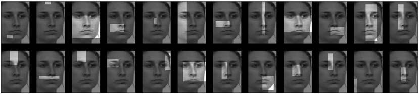 Figure 1. Example of face fragments extracted from the same face (displayed in reduced contrast). doi:10.1371/journal.pone.0003978.