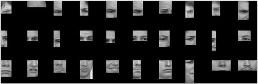 Figure 3. Face fragments with high (top), intermediate (middle) or low (bottom) individuation-specific information. doi:10.1371/journal.pone.0003978.