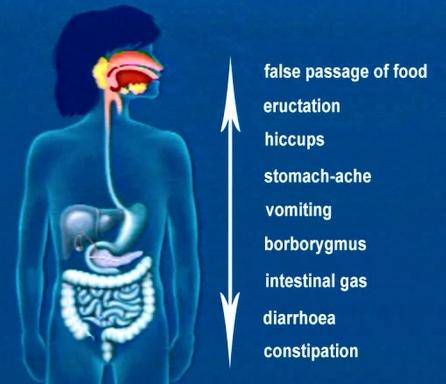 4. The digestive system 4.4 Digestive phenomena 4.4.1 What is a digestive event? INCONVENIENCES RELATED TO DIGESTION A digestive event is an event related to normal digestive function.