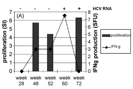 Therapeutic IC41 Vaccine as late add on to standard p interferon/ribavirin 35 patients ; 6 injections weeks 28 48 Increased HCV
