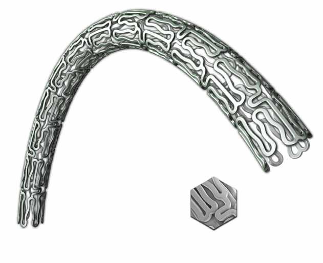 PROMUS Everolimus-Eluting Coronary Stent System The illustration shown is an artist s rendition of Boston Scientific s drug eluting stent, the PROMUS.