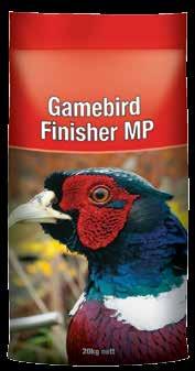 Gamebird Feeds Gamebird Starter Gamebird Starter is a highly nutritious food formulated to be fed to young game birds such as quail, pheasants, peacocks, guinea fowl, partridge and turkeys.