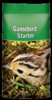 It is manufactured in crumble form to ensure that it is easy for small birds to consume. Feed Gamebird Starter crumbles ad lib.