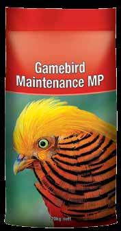 Gamebird Maintenance MP is formulated from a selection of the following ingredients: Wheat, triticale, barley, oats, rice, peas, lupins, lentils, beans, soyabean, canola, sunflower and products