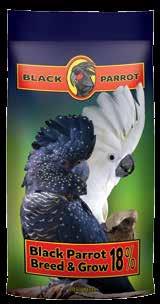 Black Parrot Breed & Grow 18% Parrot Food Black Parrot Breed & Grow 18% is a high energy 18% protein food formulated to provide the necessary nutritional requirements of breeding and growing birds.