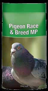 Feed Black Parrot Small Bird Food ad lib. as the sole diet or as a supplement to grains and other suitable foods. PROTEIN 18.0 % min. 8.0 % min. FIBRE 7.0 % max. SALT (added) 0.4 % max.