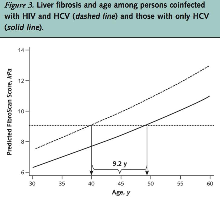 Fibrosis and Cirrhosis in HIV/HCV Coinfection Fibrosis and cirrhosis develop more quickly in HIV/HCV coinfected patients.