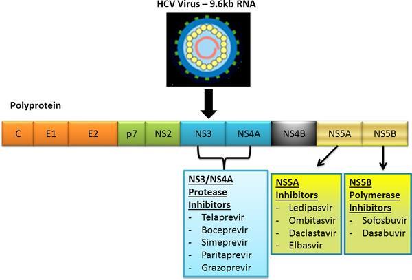 Fig 1. Hepatitis C Direct-Acting Antiviral. Lin MV, Sise ME, Pavlakis M, Amundsen BM, Chute D, et al.