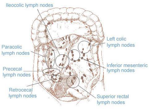 Regional Lymph Nodes 44 Image source: