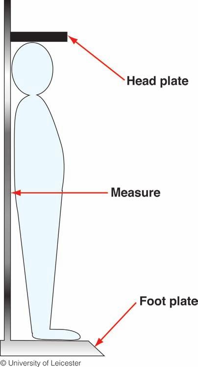 Height measurement The height should be measured with the base plate on a firm and level surface, preferably with a perpendicular surface to ensure the measure is vertical.