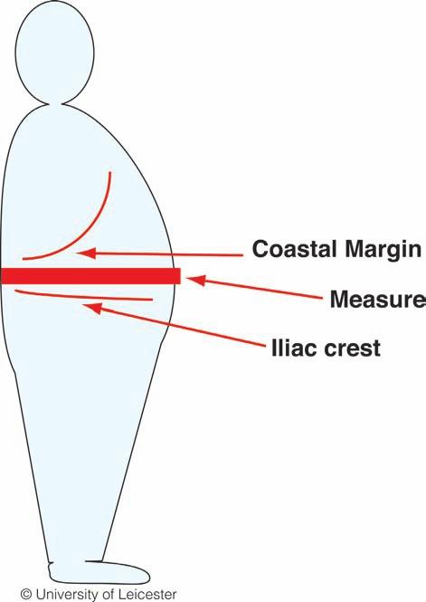 Waist circumference u This should be measured over bare skin, or light clothing.