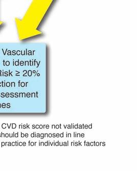 Record Based Strategy (at Risk Register) for Vascular Risk Assessment It is suggested that the initial focus might be on the hypertension